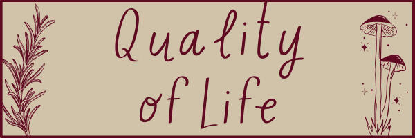 Quality of Life Mods